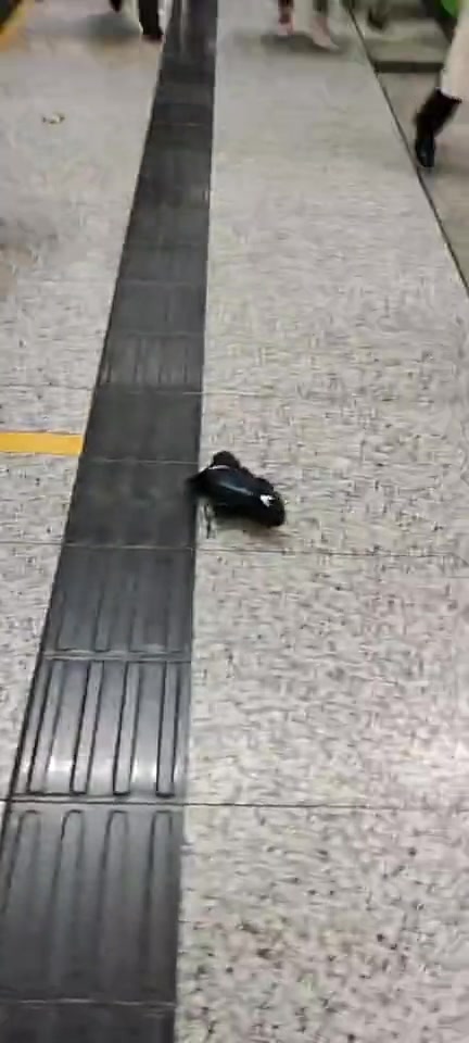 地铁一位脱鞋的大汉,小伙下车时直接一脚把鞋子踢下车!