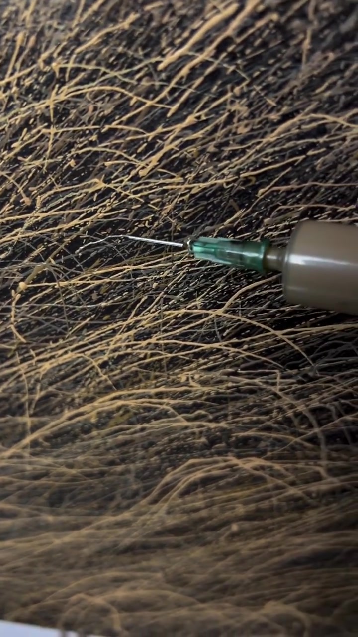 但凡艺术细胞少点你都刷不到!!