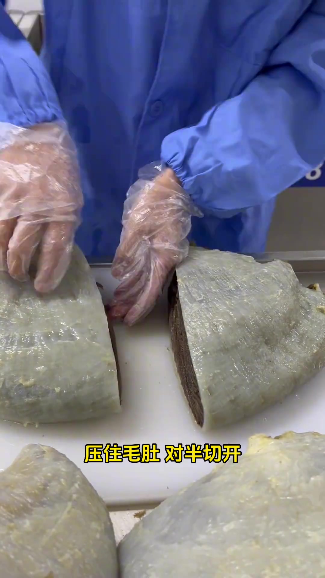 就没见过这么懂事的毛肚.