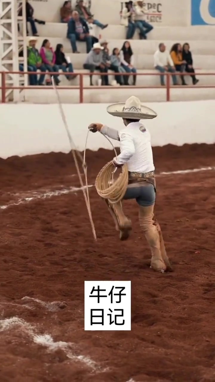 套马的汉子,优雅永不过时!!