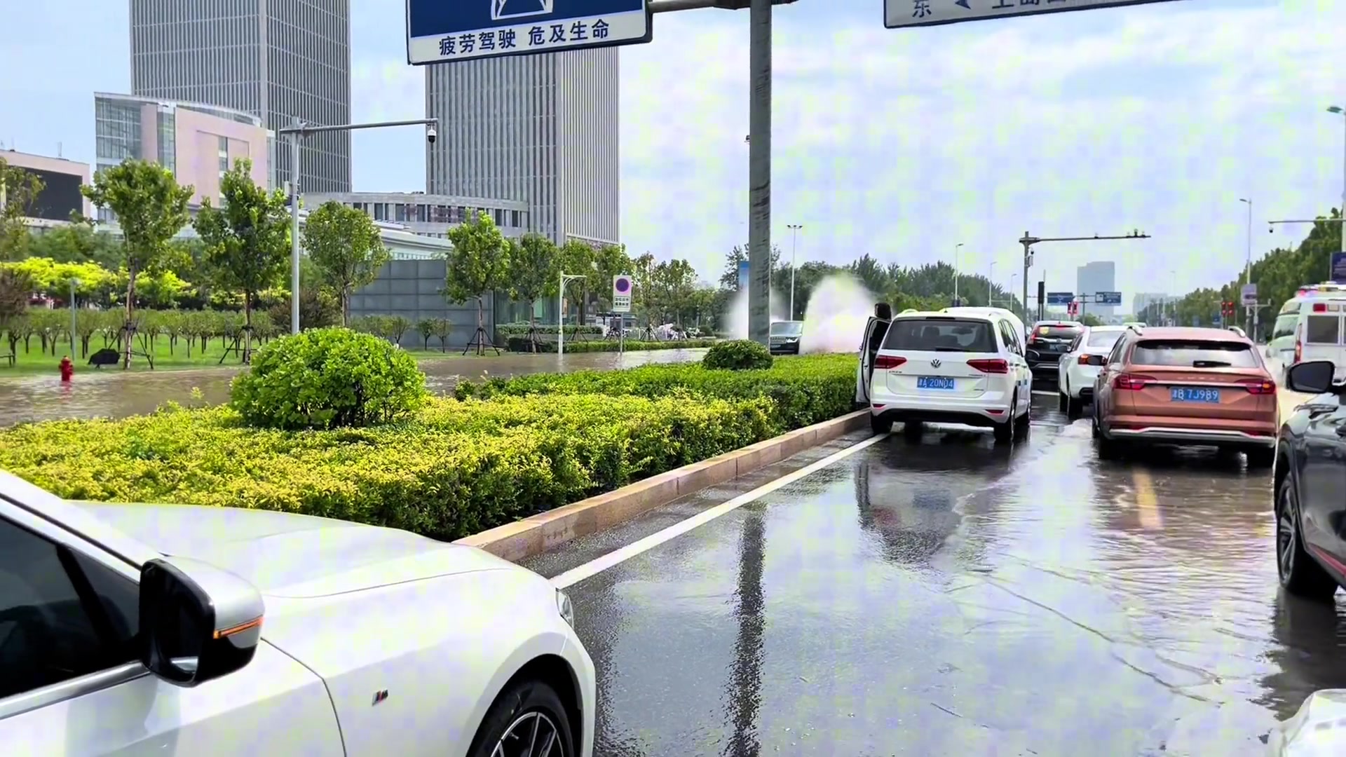 这两个翅膀不错