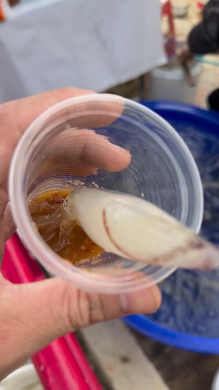 海鲜这样吃主打一个新鲜!!