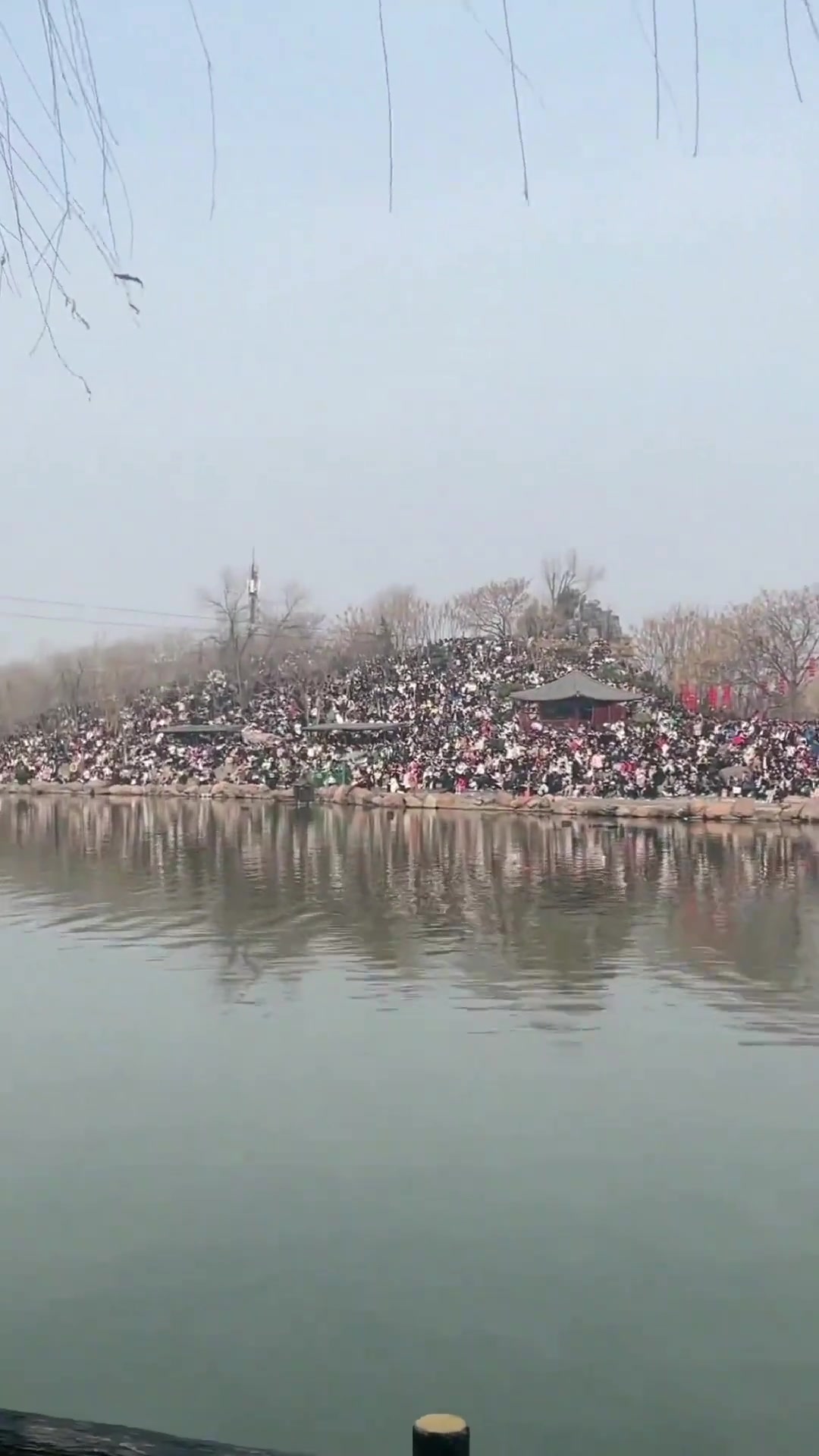 某网红爆火后,这客流量简直是夸张!