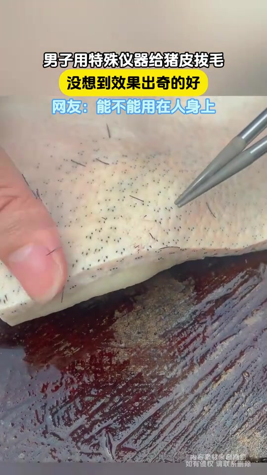 男子用特殊仪器给猪皮拔毛,没想到效果出奇的好!