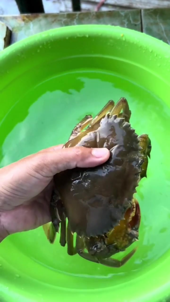 这螃蟹像只软柿子!这是变异了吗