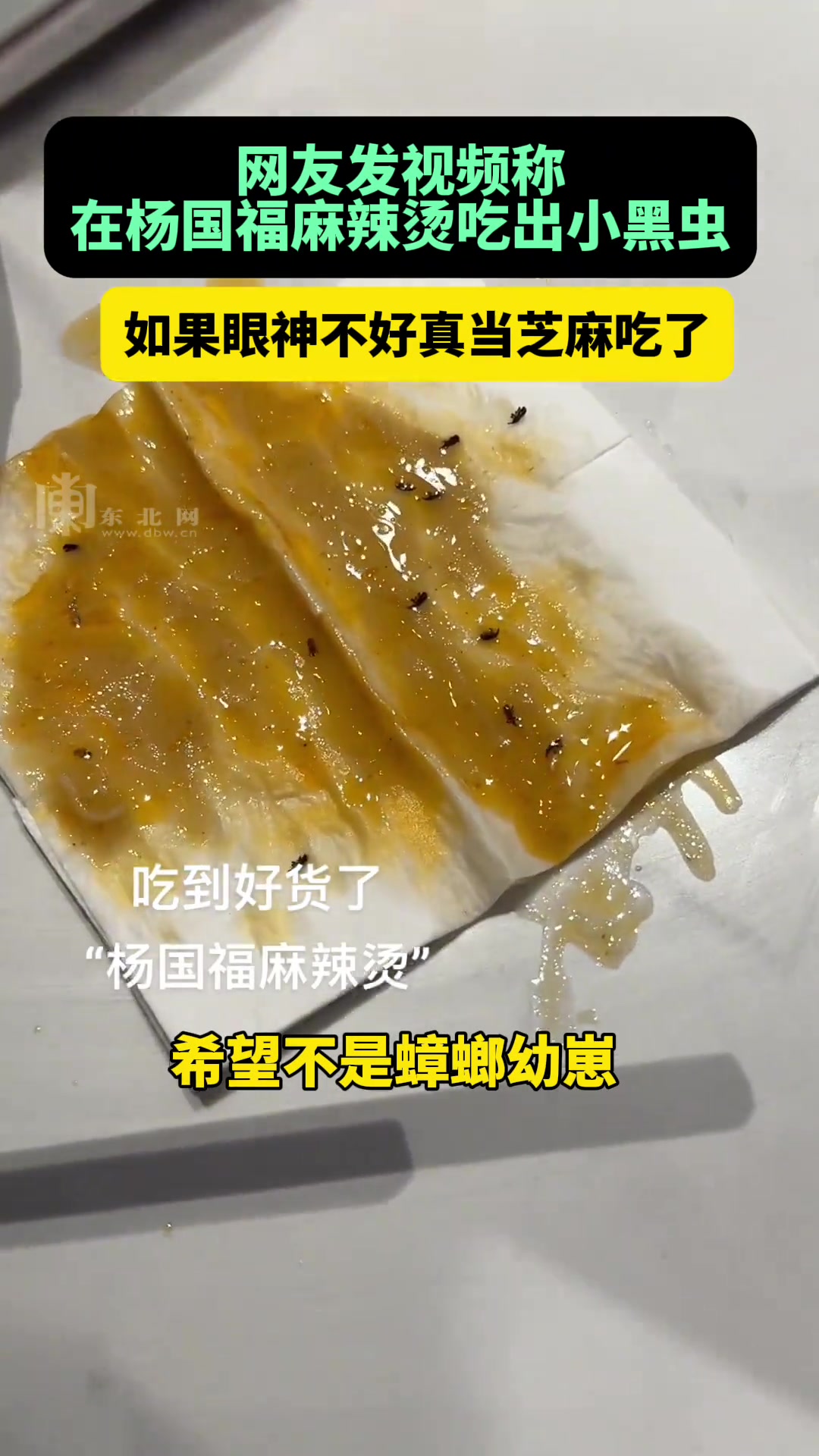 在麻辣烫吃出小黑虫,如果眼神不好真当芝麻吃了!