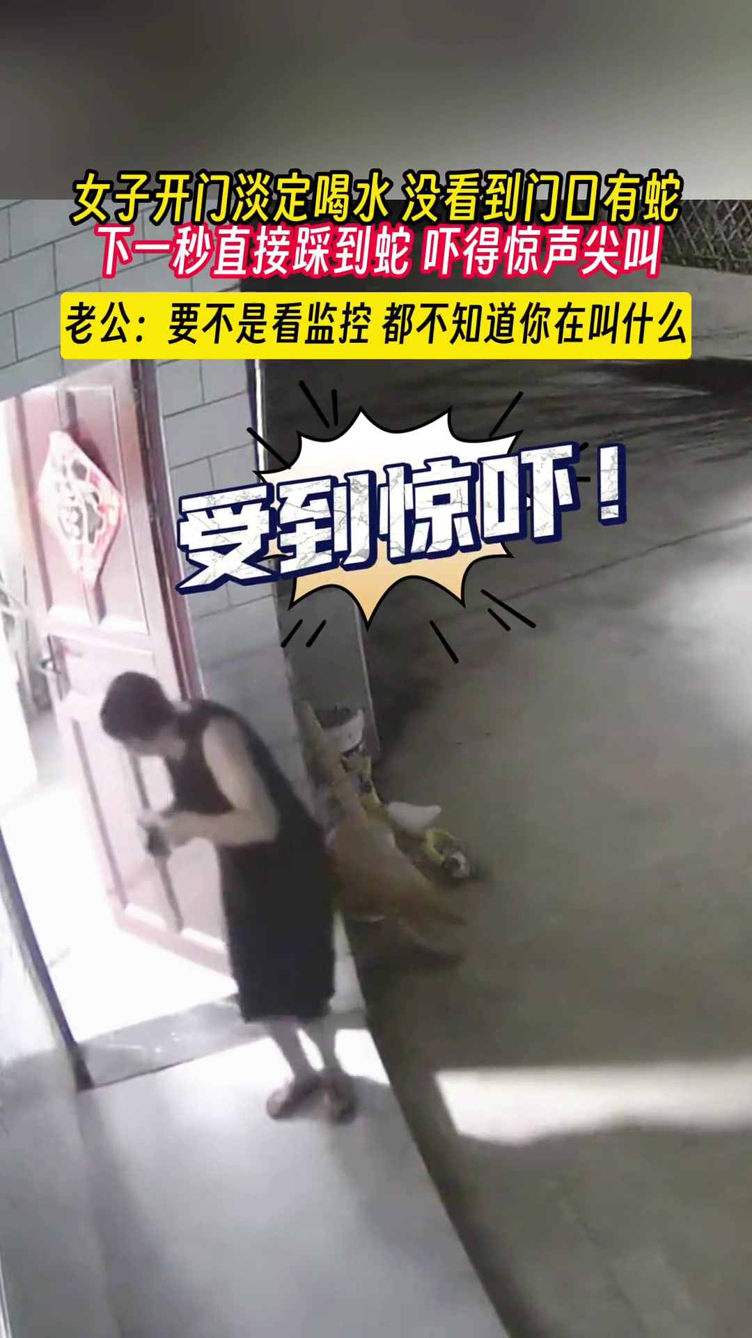 女子开门淡定喝水没看到门口有蛇下一秒踩到蛇吓得惊声尖叫