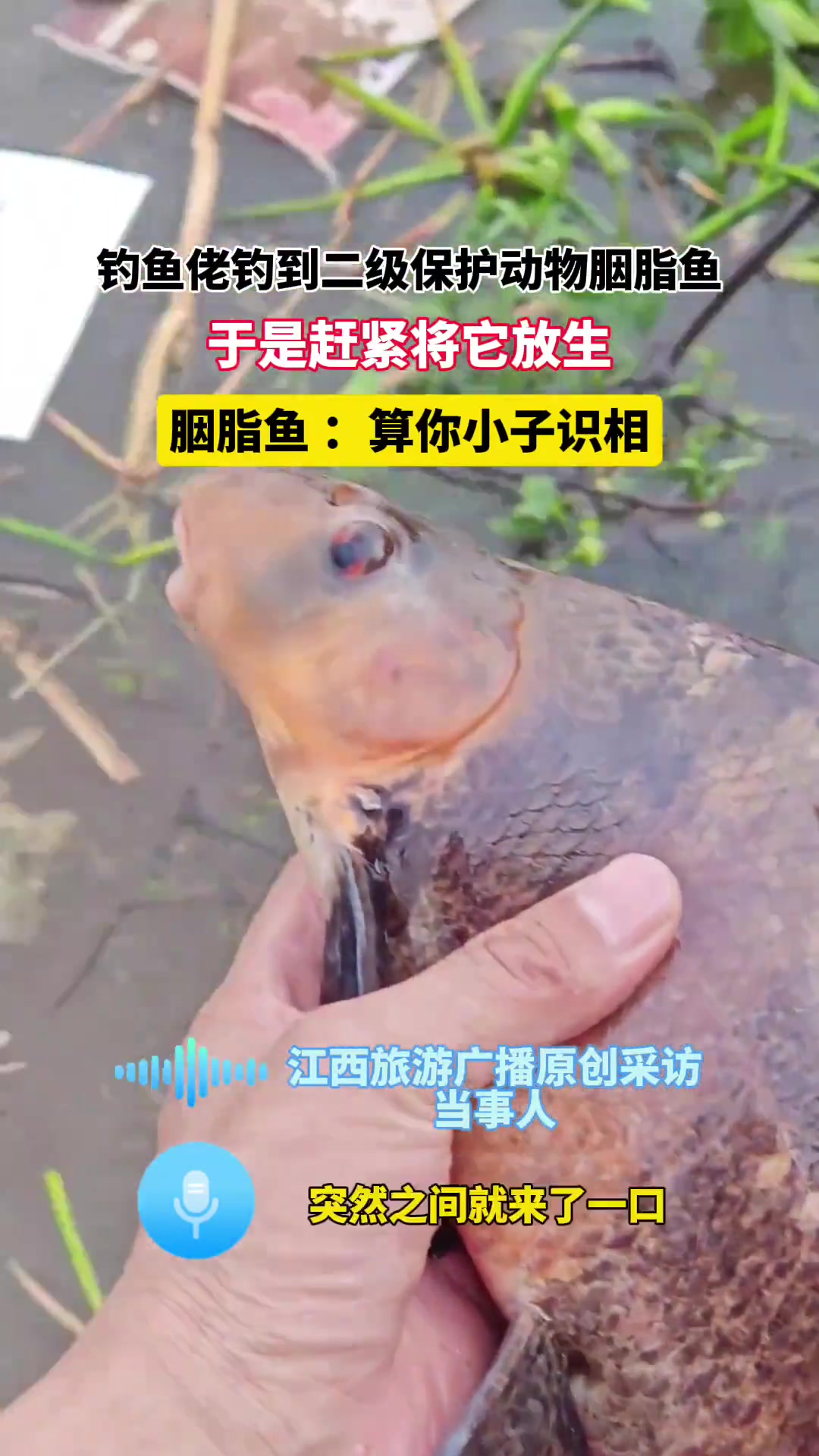 胭脂鱼:算你小子识相!