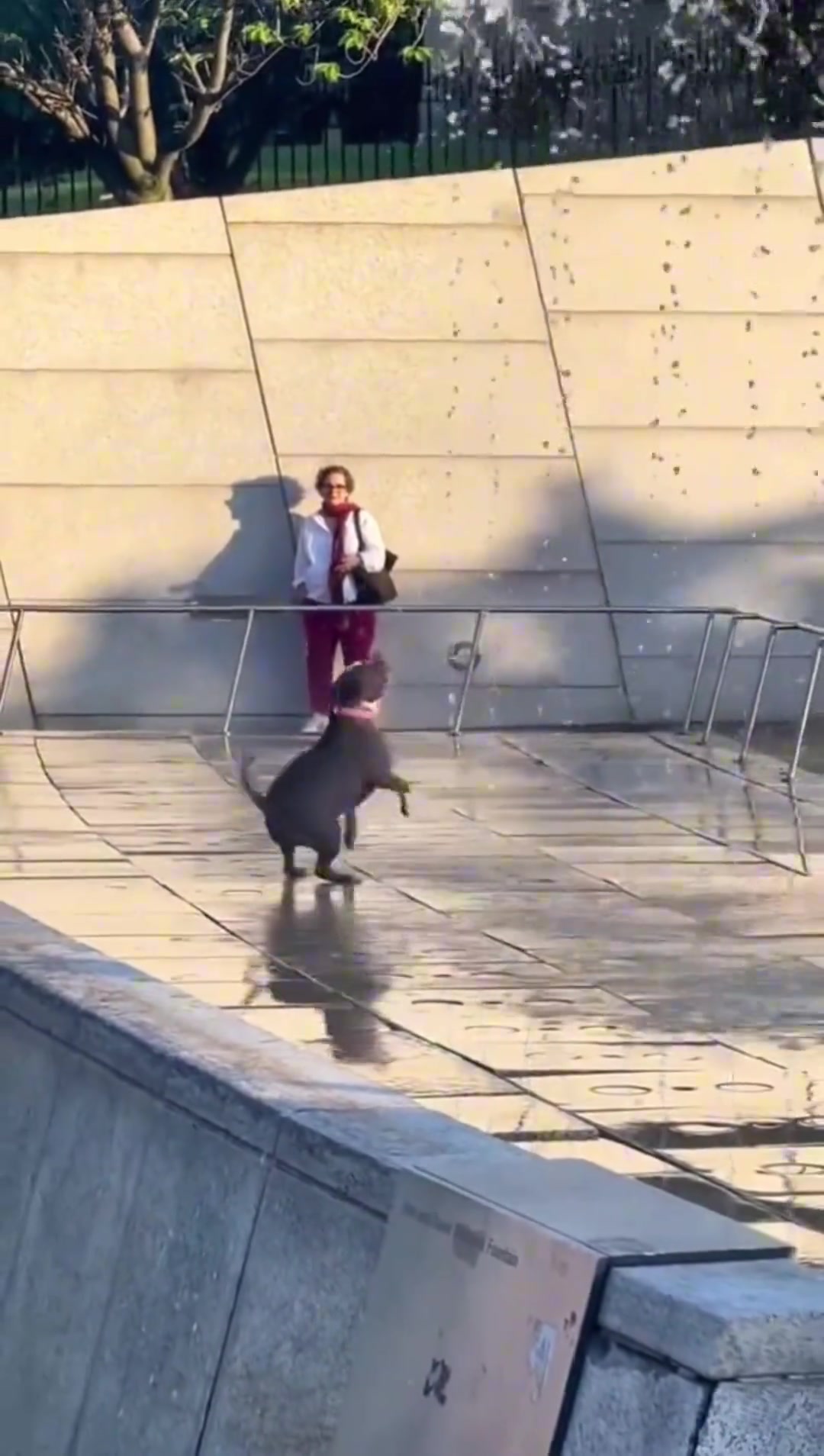 它正在享受人生中最美好的时光