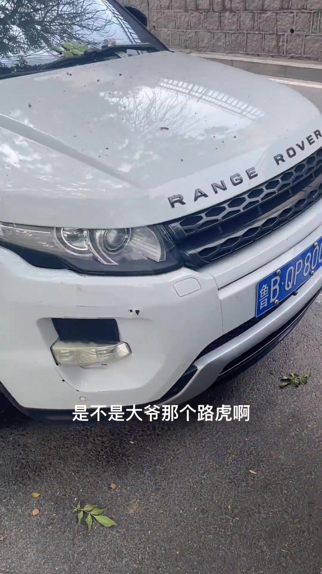 大家看看这个车是不是打人那个,我看到这个车心里都有点害怕!