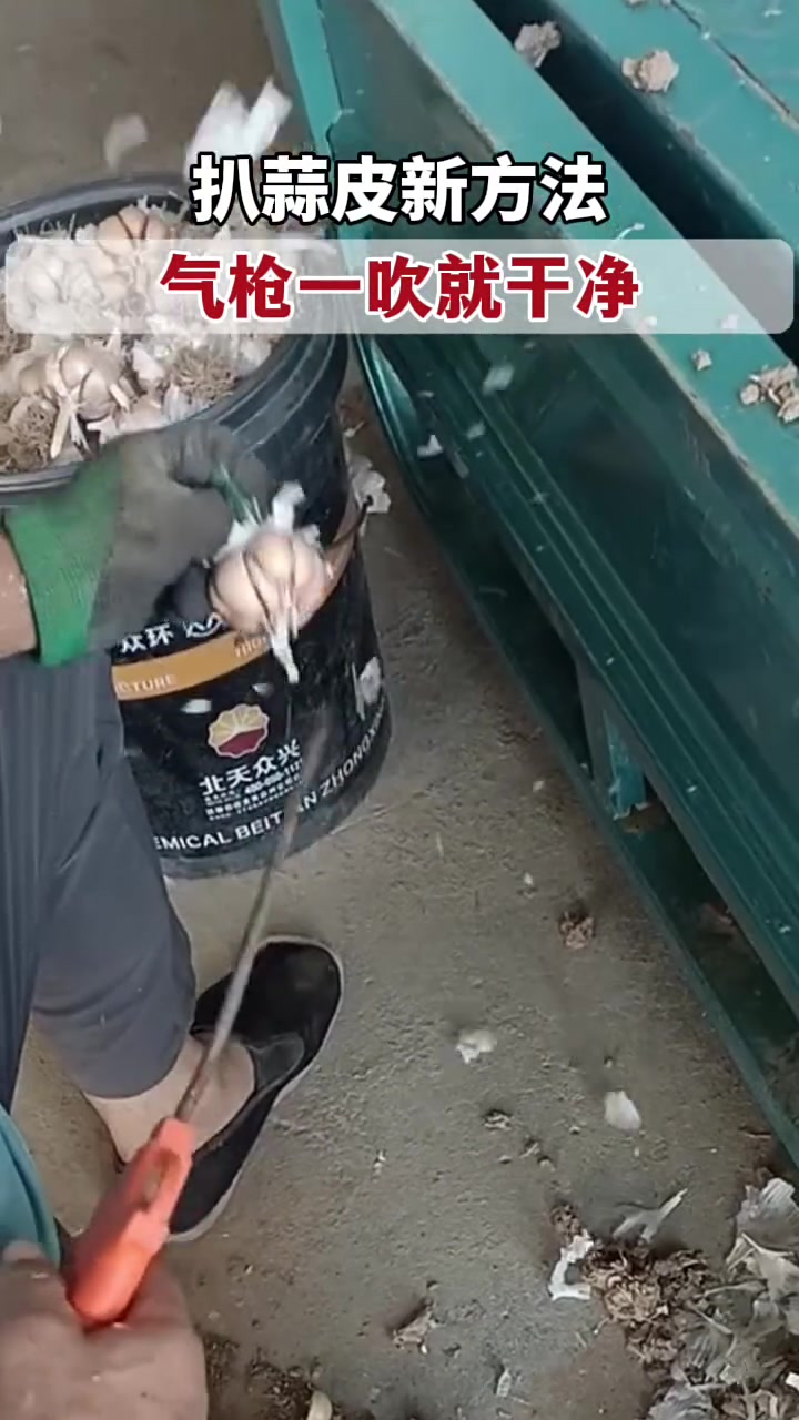 扒蒜新方法,高压汽枪一吹就搞定