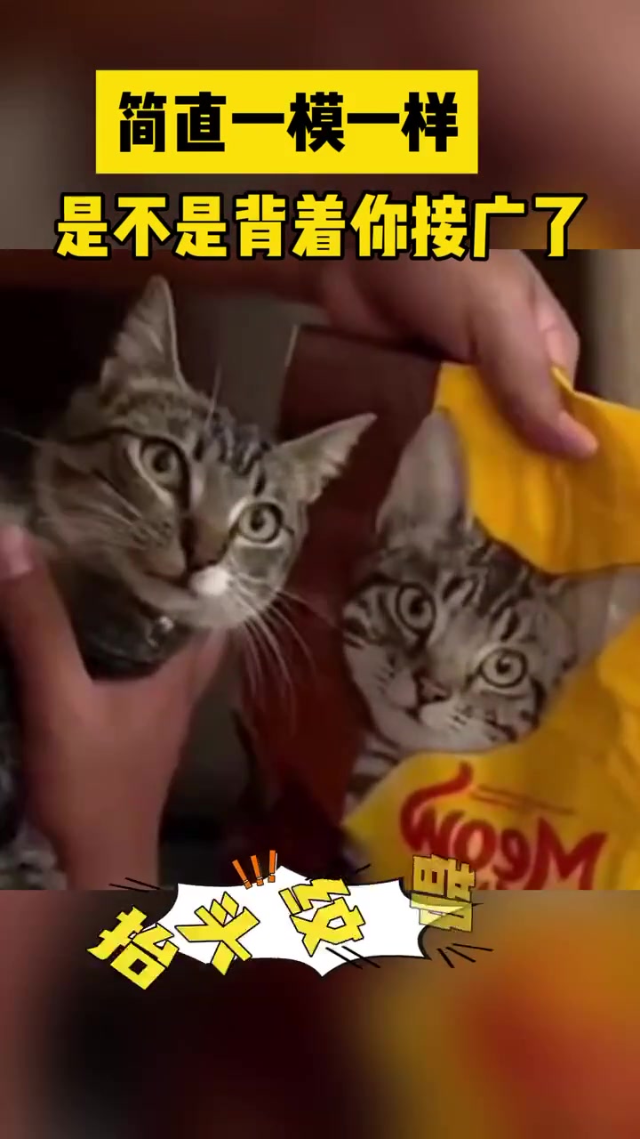 说吧,你把代言费藏哪儿了