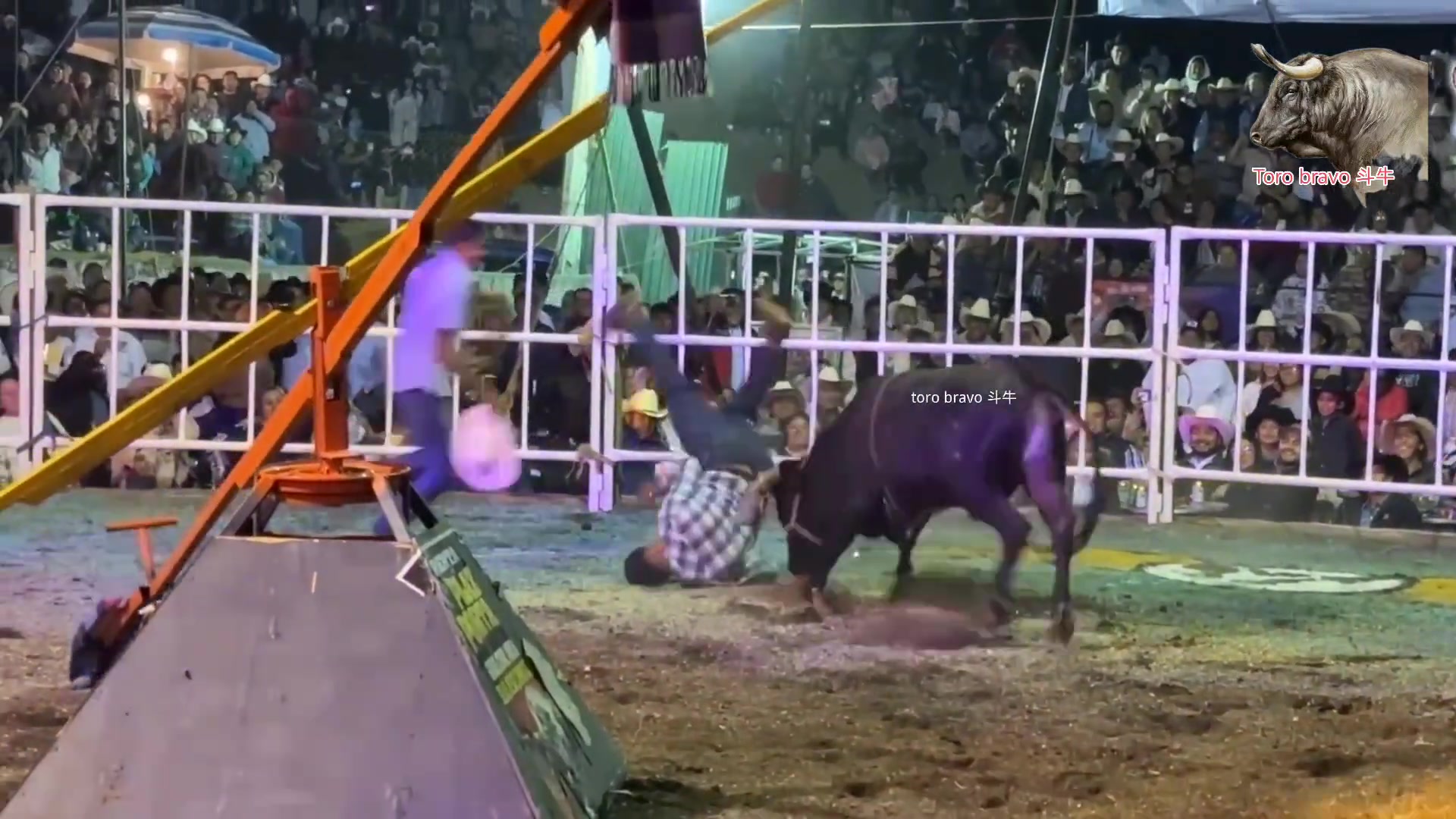 这家伙不地道!牛都看不下去了!