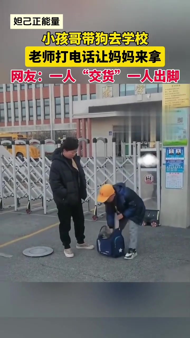 小孩哥带狗去学校,老师打电话让妈妈来拿