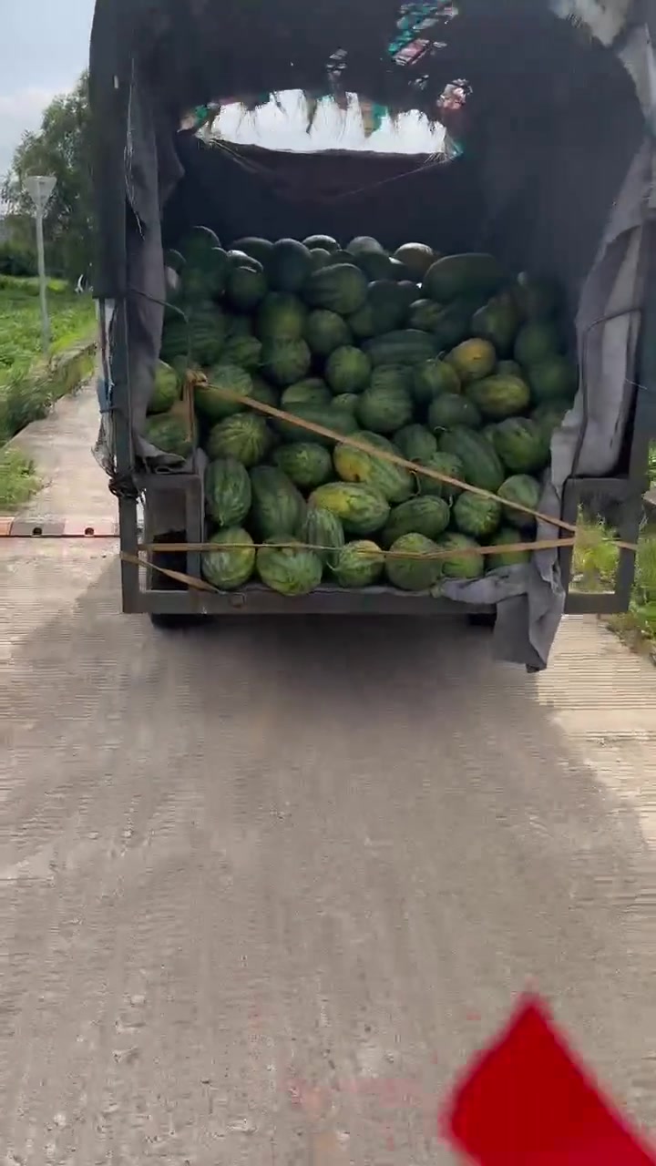 老板开着拖拉机,怎么叫也听不见捡了一车西瓜