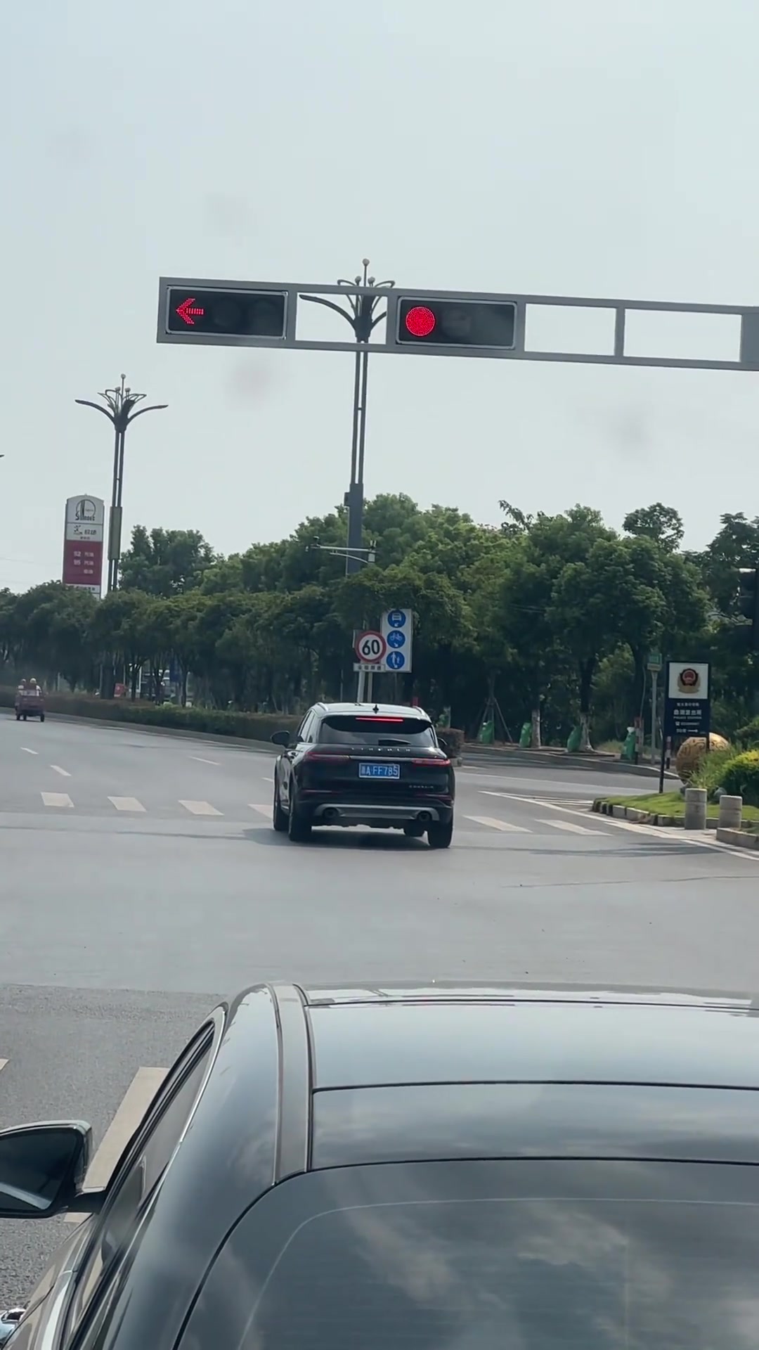 哥们要不咱还是走吧,都过到对面斑马线了