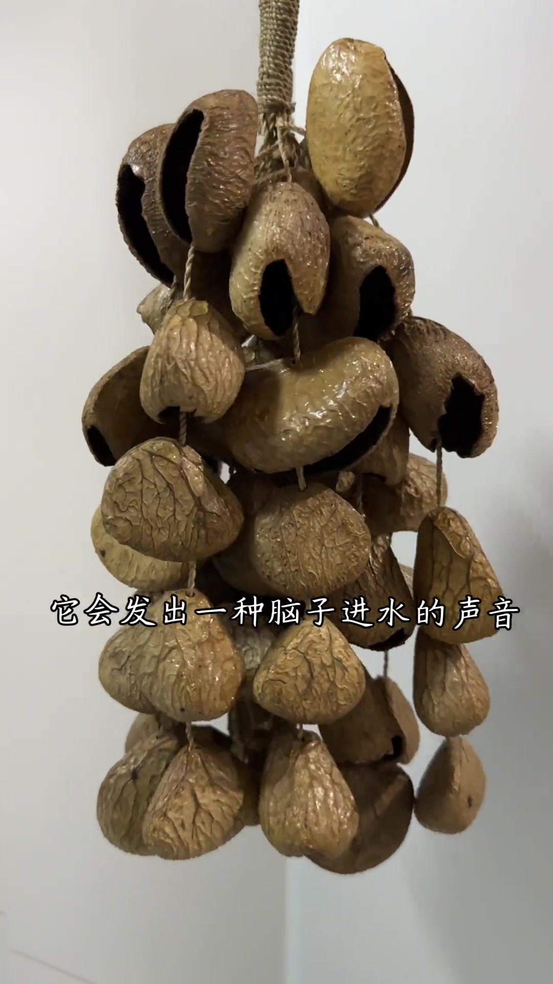 脑子进水是什么声音进来听!