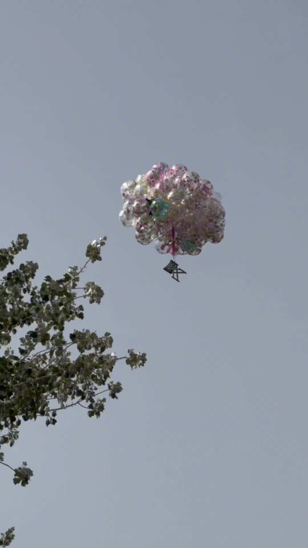 不光货没了,办公桌椅都带走了