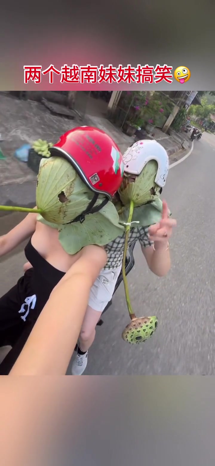 他们这是打算骑出去笑死谁