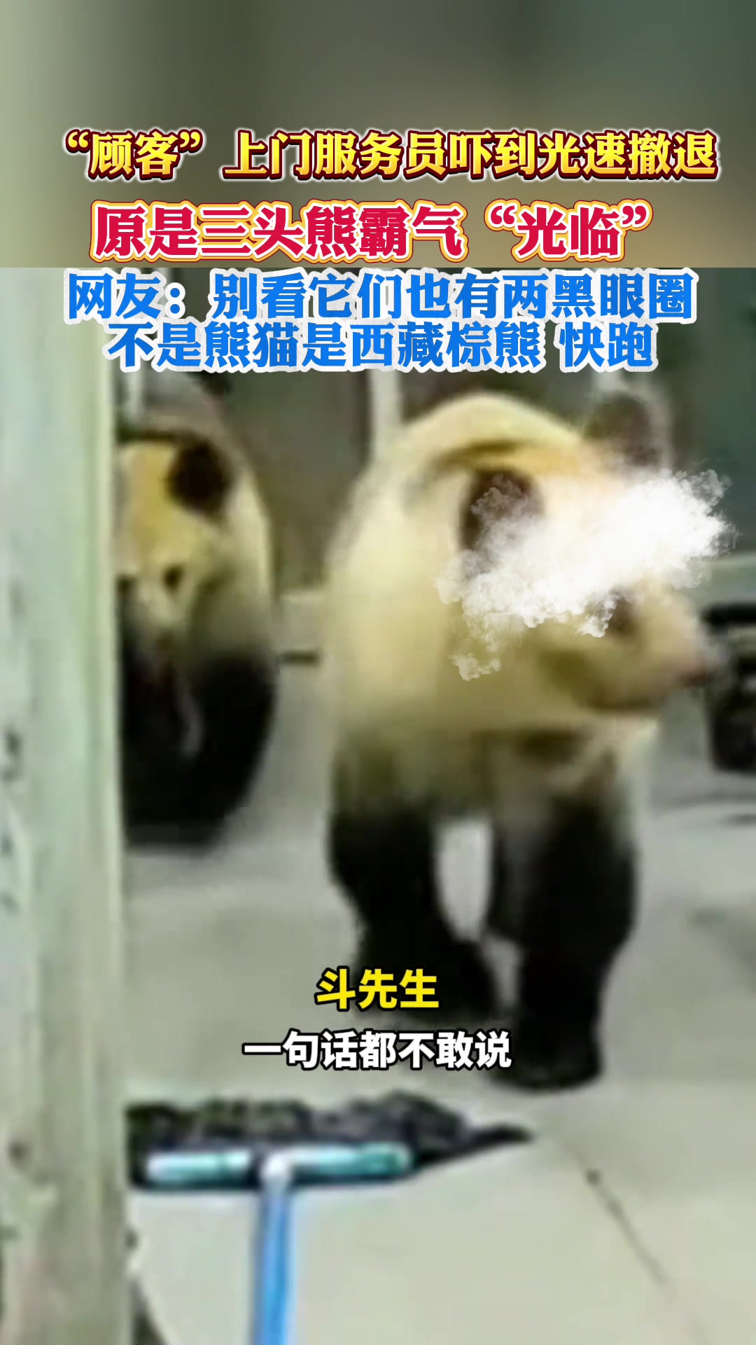 “顾客”上门服务员吓到光速撤退,原是三头熊霸气“光临”