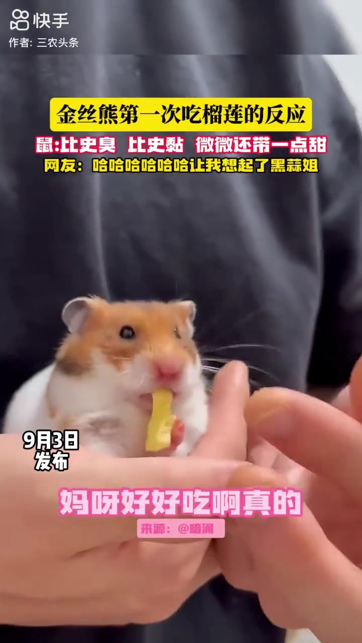 这也太可爱了吧!