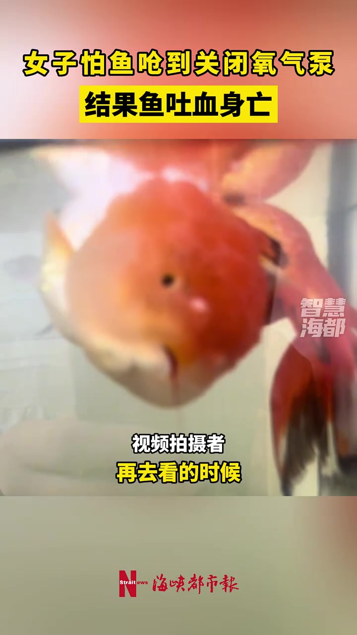 你咋不把水放掉,让它坐桌子上吃呢什么脑回路