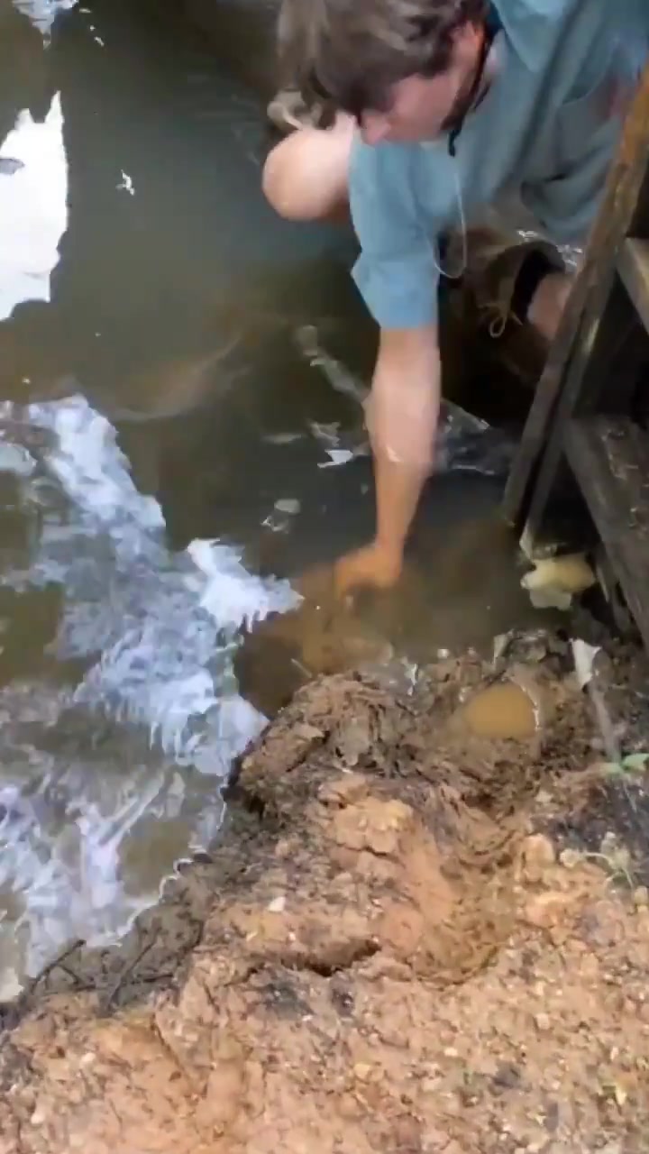 鳄鱼:我感觉到被命运扼住了后脖