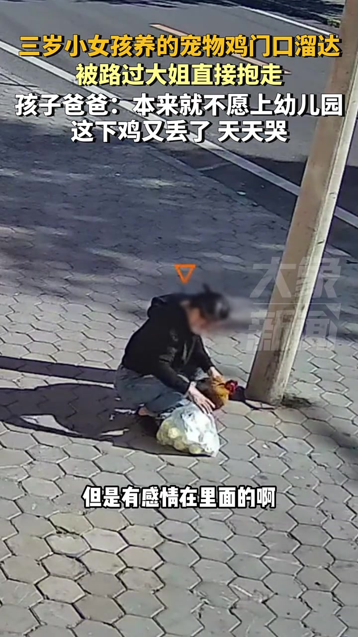 三岁小女孩养的宠物鸡门口溜达,被路过大姐直接抱走!