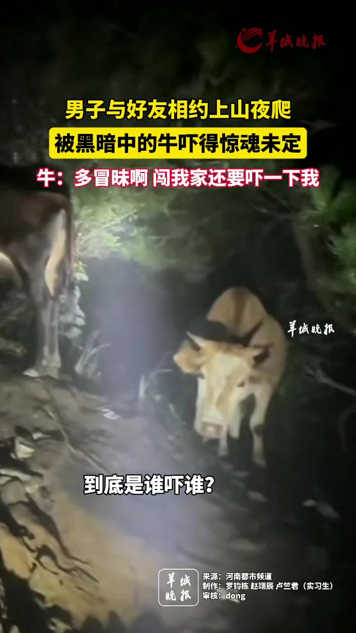 男子上山夜爬被黑暗中的牛吓得惊魂未定!