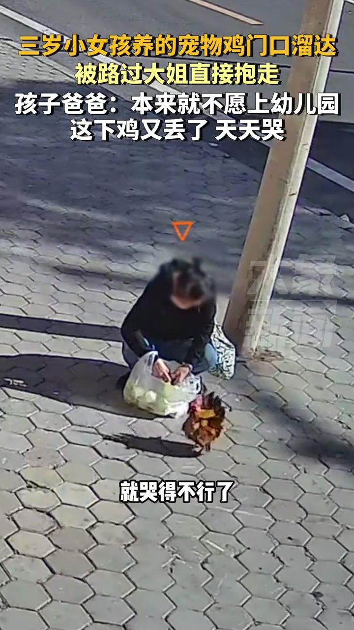 女孩养的宠物鸡在门口溜达,被路过大姐直接抱走了