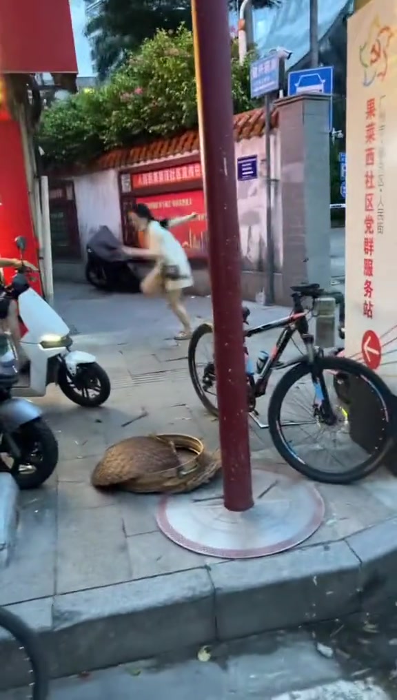 我还以为这老头要拿砖拍那女的呢,叫那么惨
