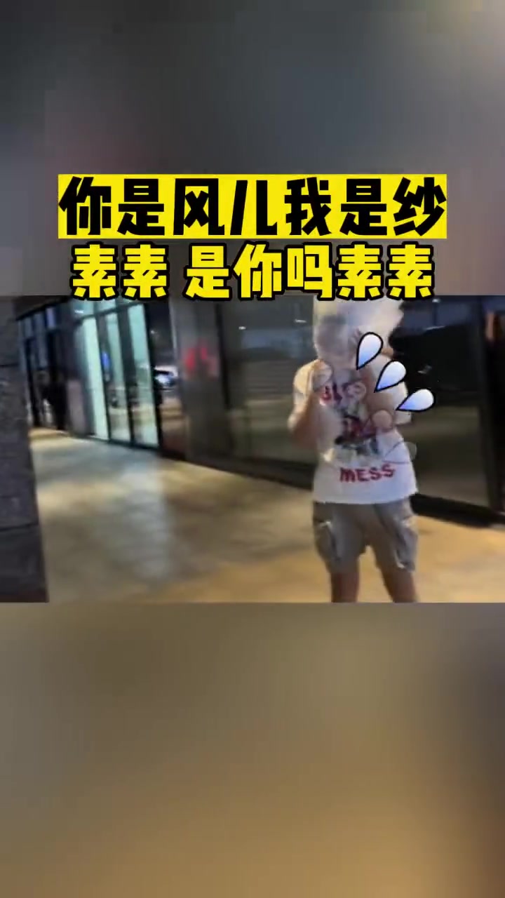 你是风儿我是纱“素素是你吗素素”