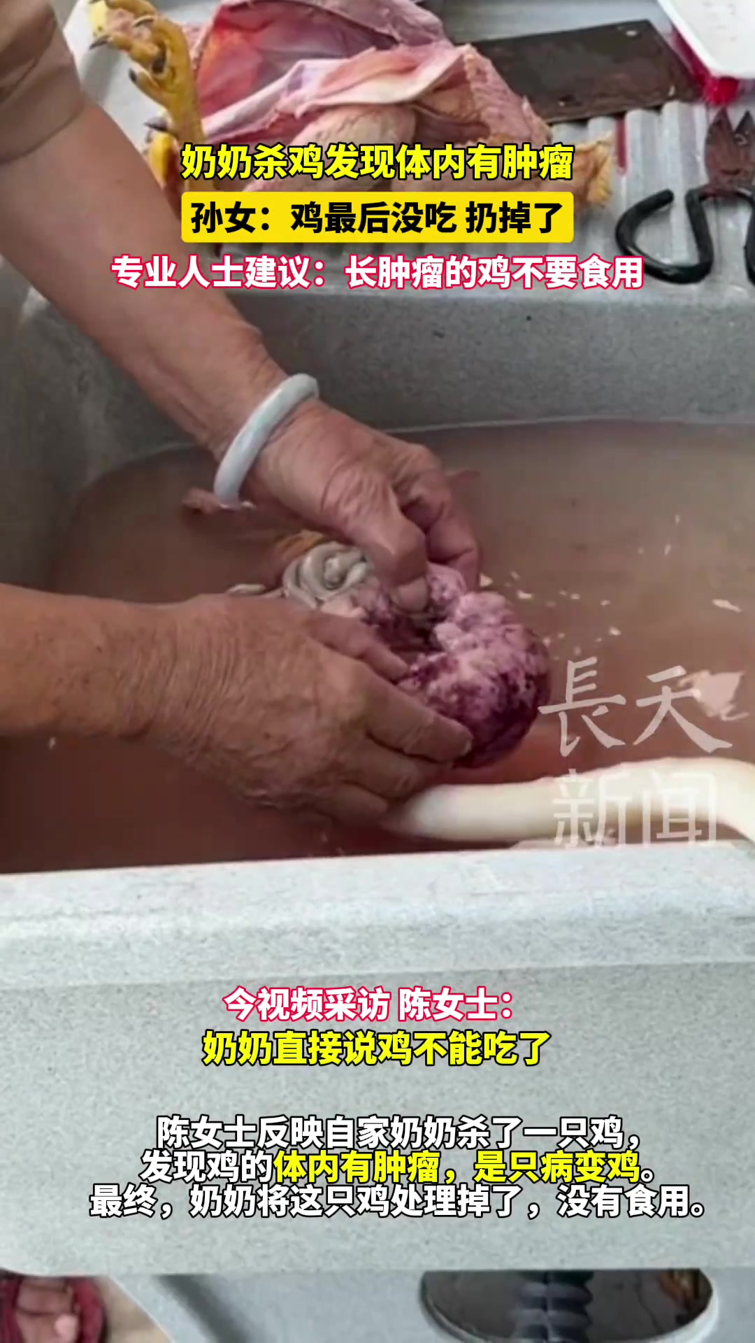 奶奶杀鸡发现体内有肿瘤专业人士建议:长肿瘤的鸡不要食用