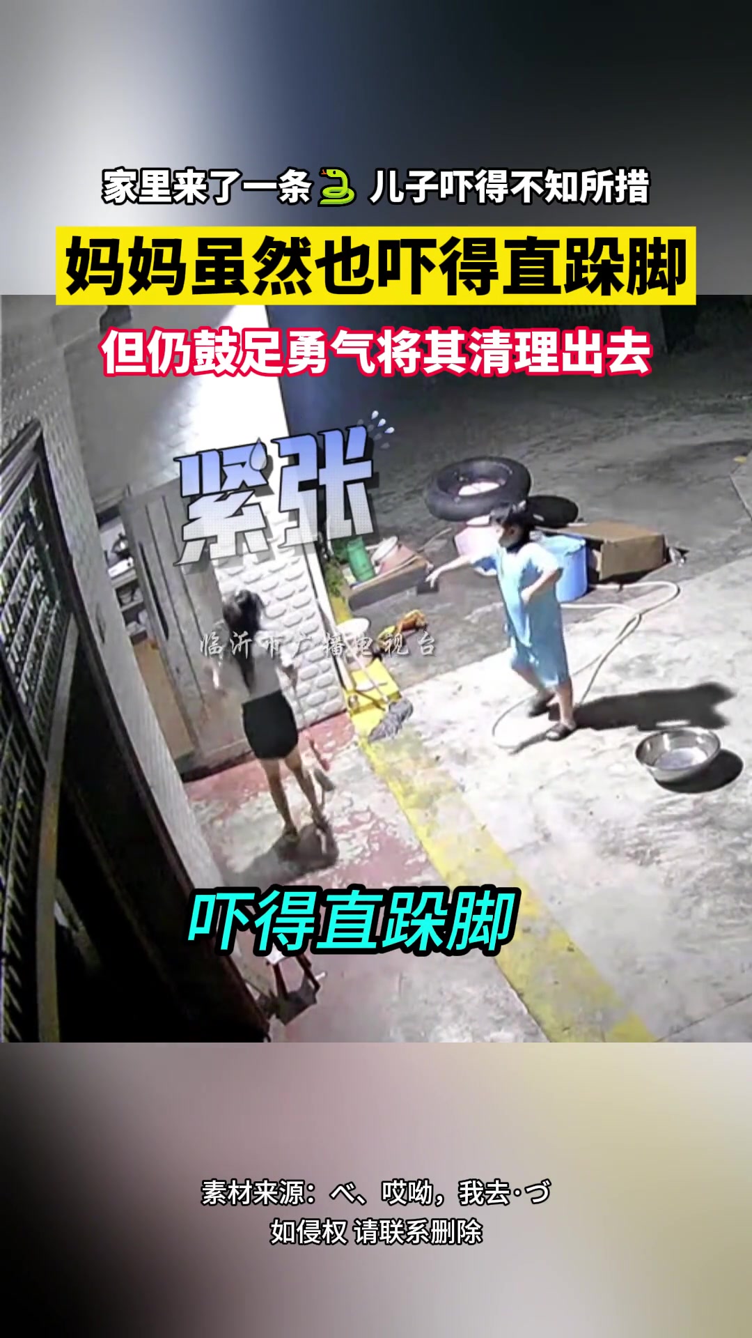 “女子本弱为母则刚”