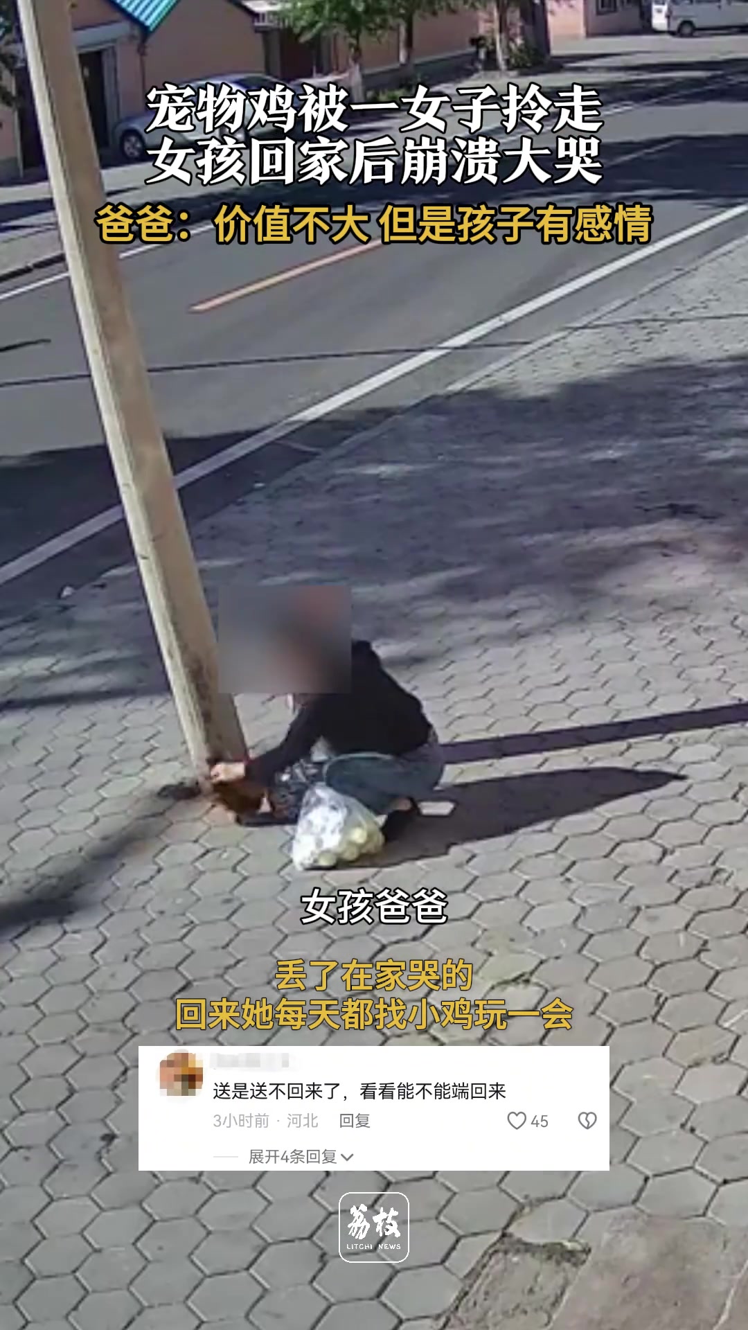 爸爸称女儿的宠物鸡被女子拎走价值不大但是孩子有感情
