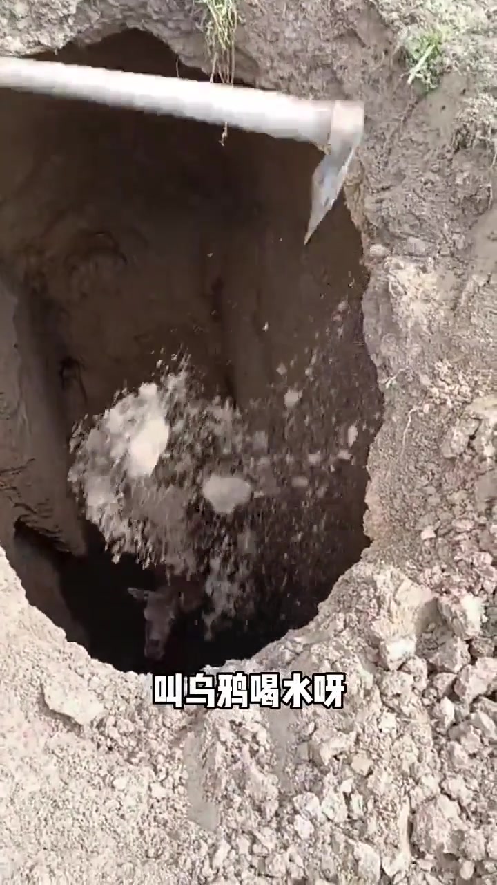 所以这么深,它到底是怎么掉下去的!