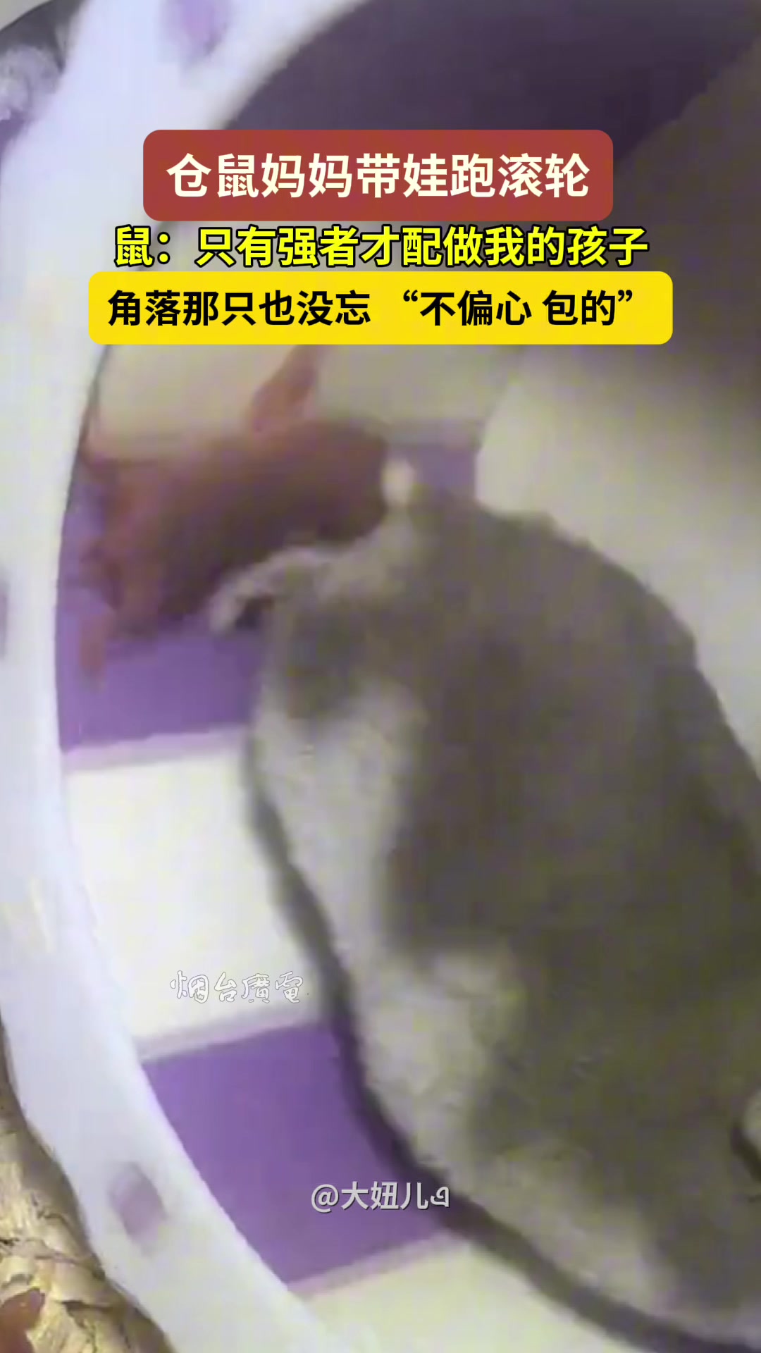 死了就不是我的儿!只有强者才配做我的孩子,包不偏心的!