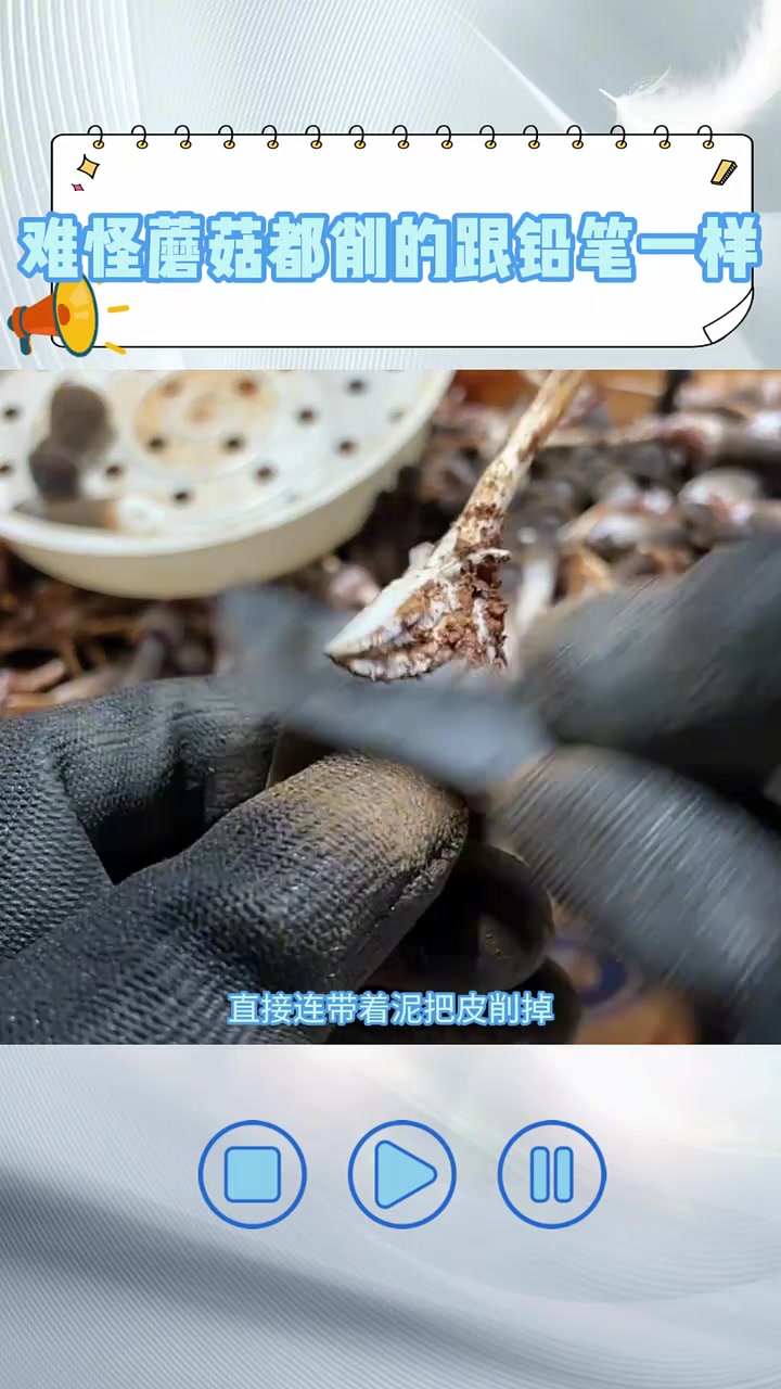你们有吃过这样的菇吗!!