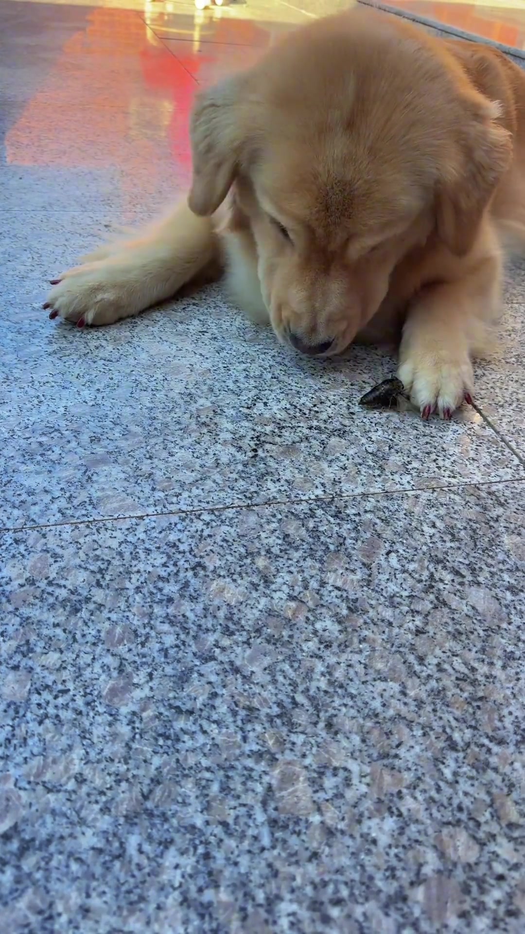 意不意外不好嚼