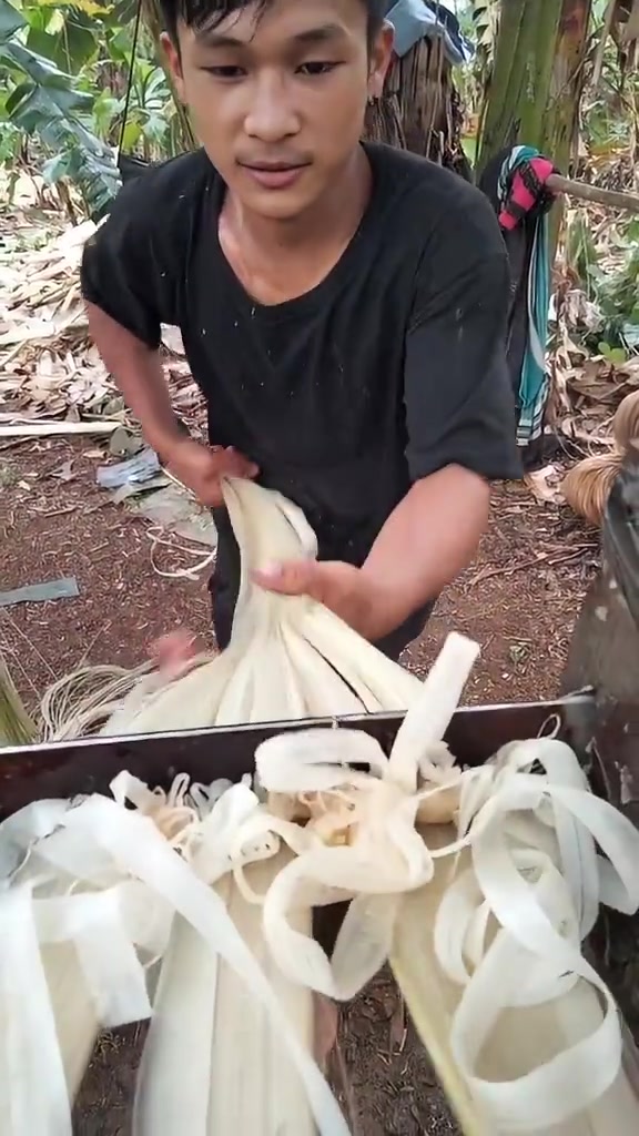 香蕉树皮啊,这是拉出来做绳子吧!!