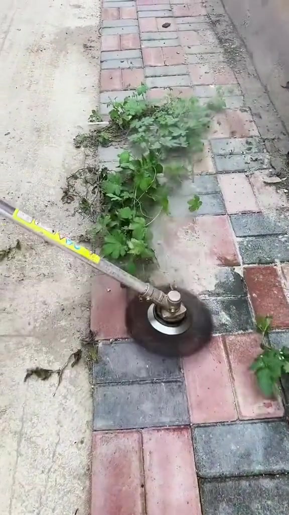 这玩意清理院子还挺方便的样子!!