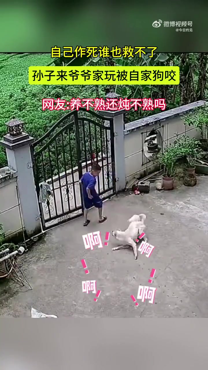 孙子来爷爷家玩被自家狗咬,养不熟还炖不熟吗