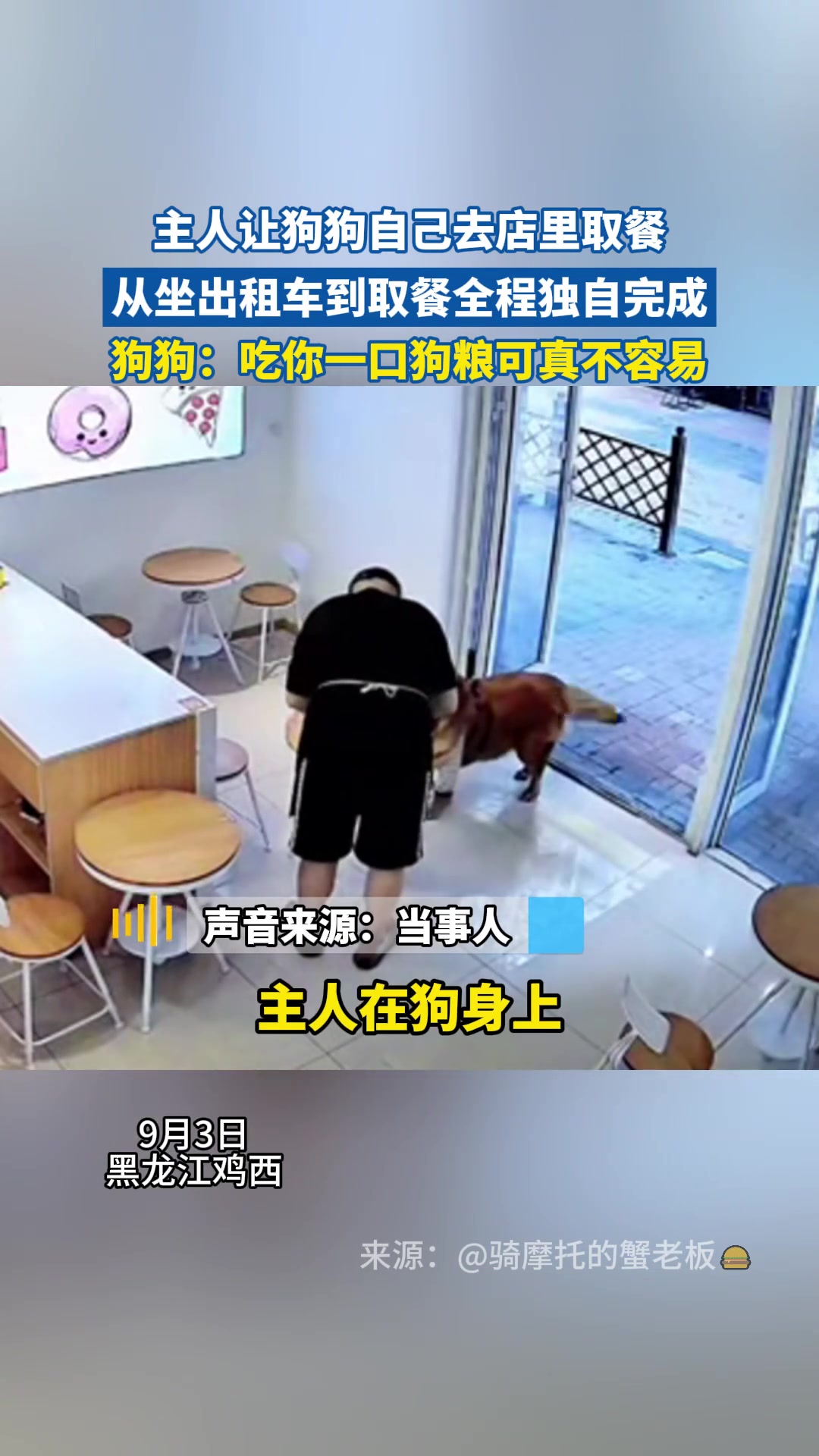主人让狗狗自己去店里取餐,从坐出租车到取餐全程独自完成!