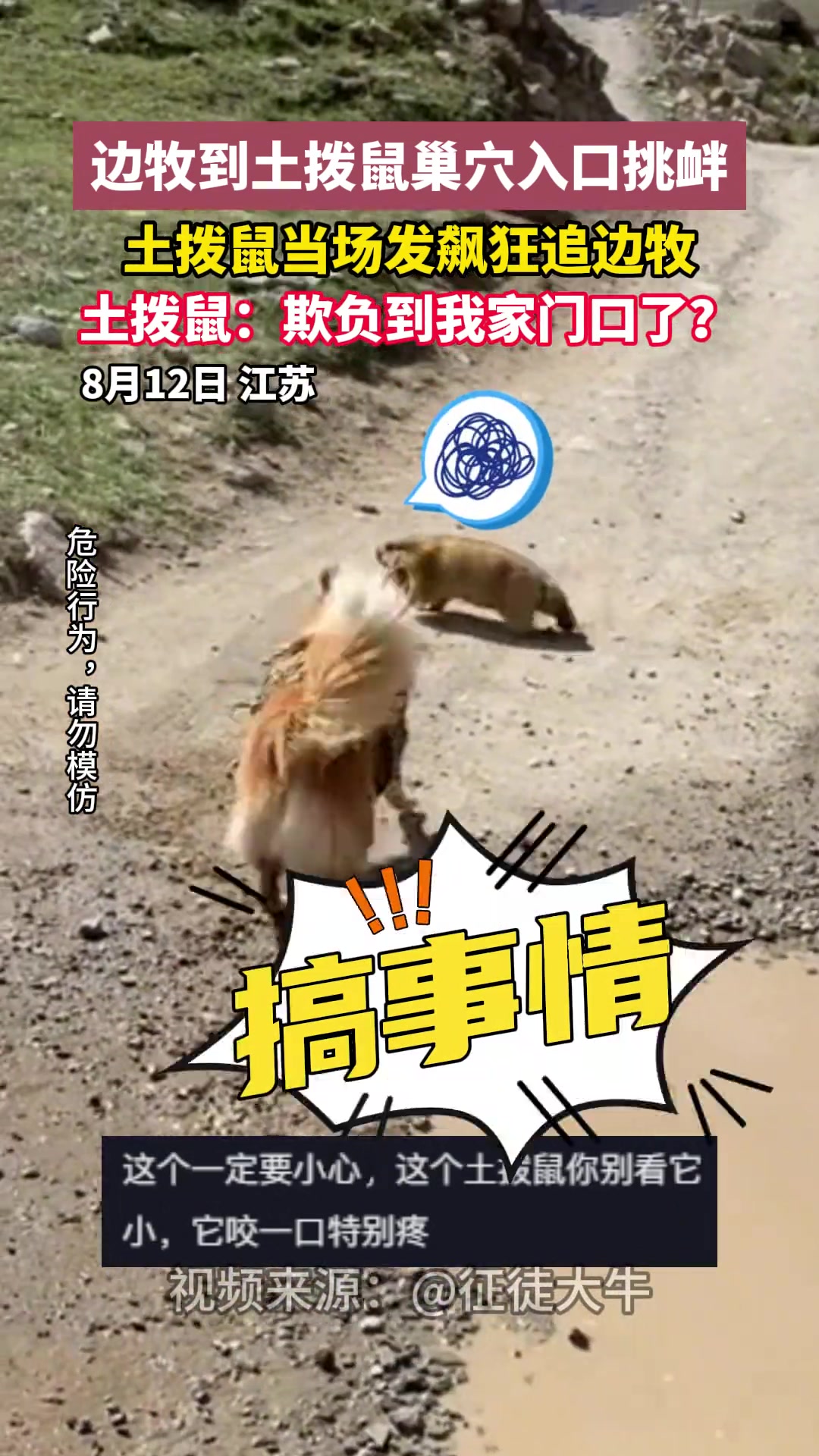 狂犬病和鼠疫对决!