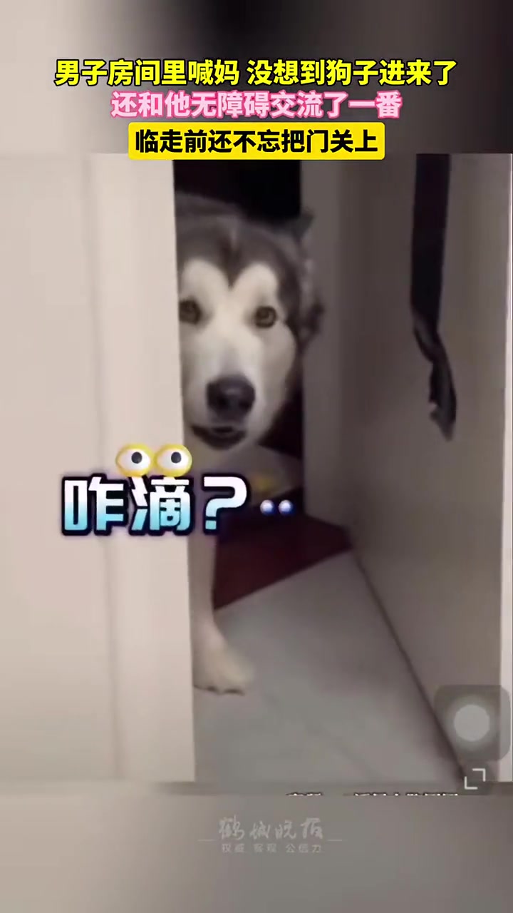 外语还是重要,不然沟通有问题!