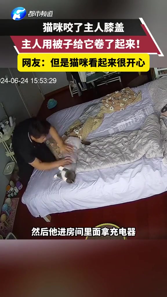 但是猫咪看起来真的很开心