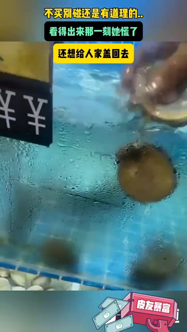鲍鱼:拧不开瓶盖的手把我“天灵盖”掀开了