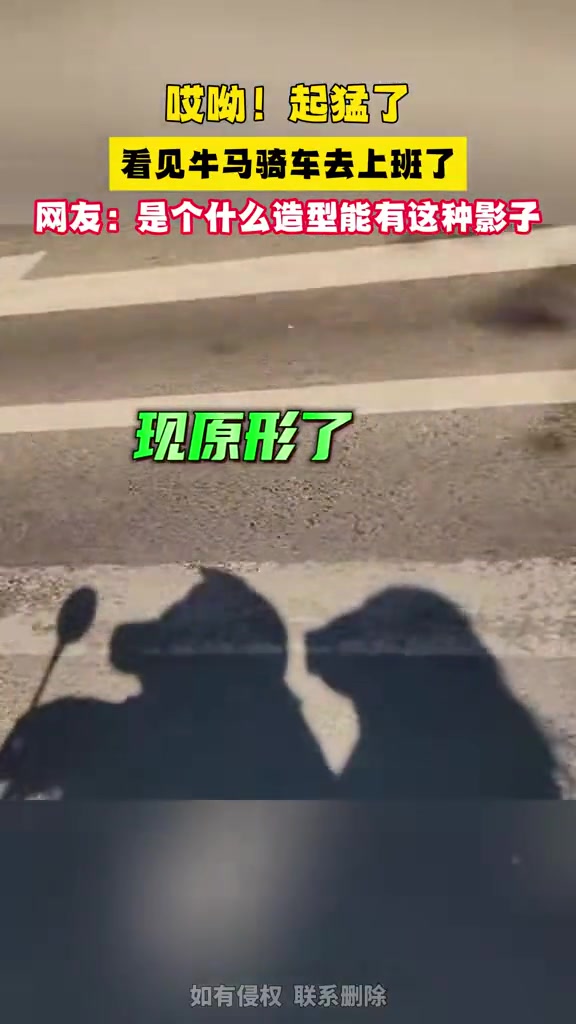 唉!过着牛马不如的生活