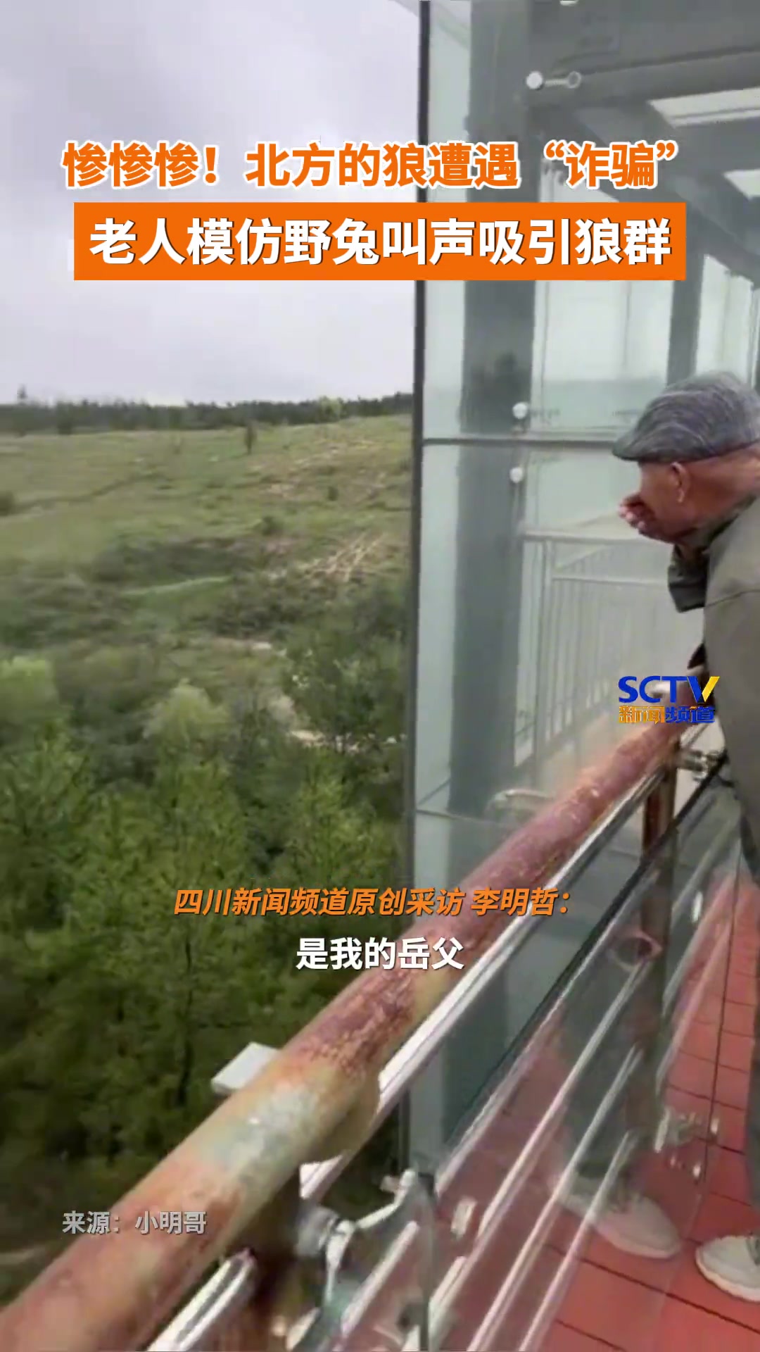 狼群怎么也没想到有一天自己被诈骗了!