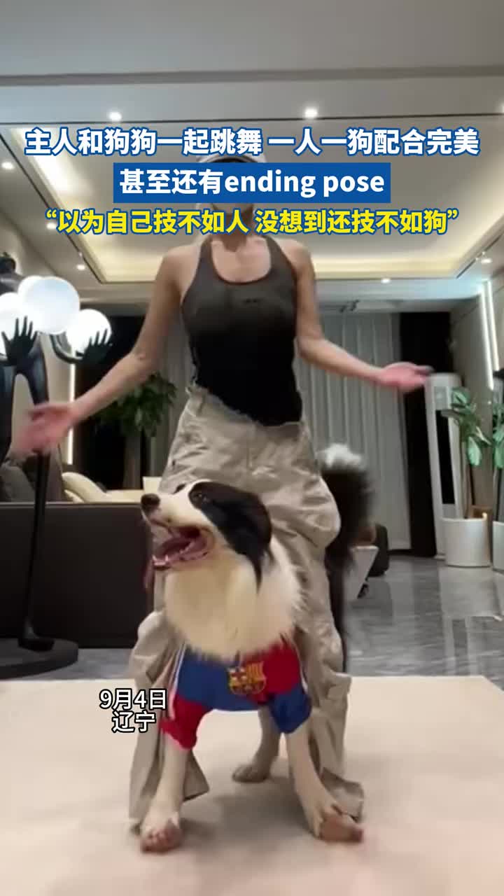主人和狗狗一起跳舞,一人一狗上演完美配合